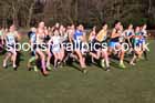 Girls under-15s 2025 Northern Cross Country Champs, Tatton Park, Knutsford, Cheshire. Photo: David T. Hewitson/Sports for All Pics
